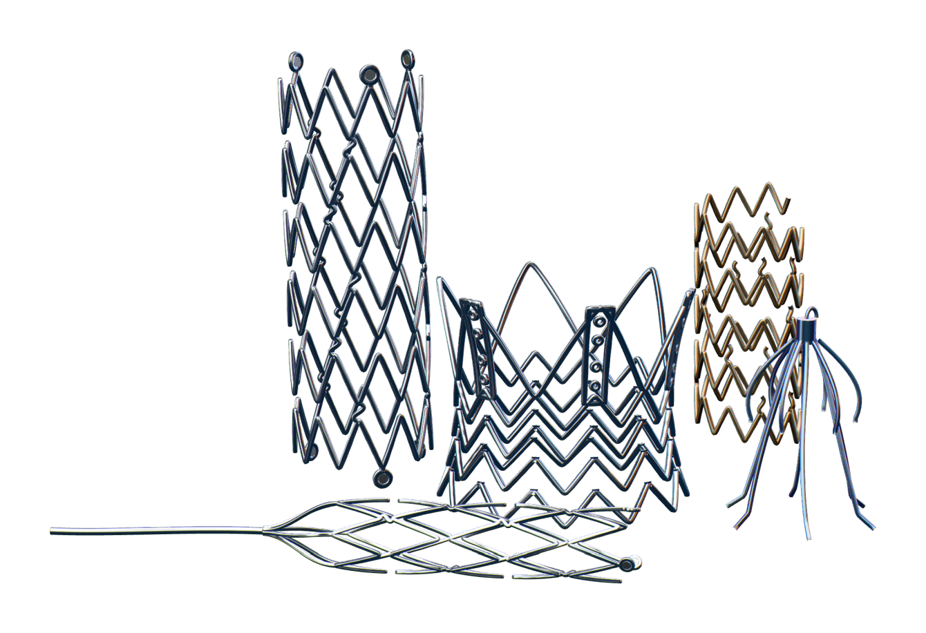 Illustrative concepts of interventional implant frames, stents and a filter